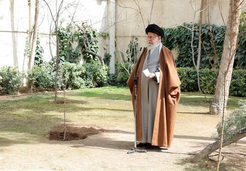 امام خامنه‌ای: نهضت ملی درختکاری جدی گرفته شود و ادامه یابد