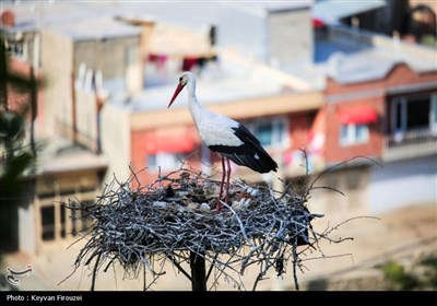 سومین تور رسانه ای آشنایی با شهرستان مریوان - سنندج