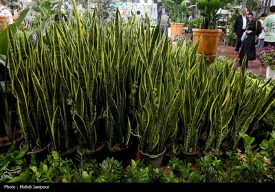 یازدهمین نمایشگاه گل و گیاه, سوغات و صنایع دستی اقوام در اصفهان